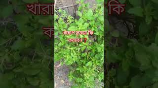 খারাপ সময়ে কি করবেন #shorts #youtubeshorts