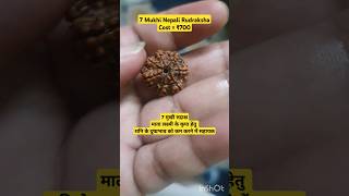 7 Mukhi Rudraksha #shorts #rudraksha #7mukhirudraksha #rudrakshabenefits #nepalirudraksha #rudraksh