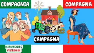 CAmpagna 🏞️, COmpagna👩🏽‍🦱, compaGNIA👨‍👨‍👧‍👧 - в чем отличие?