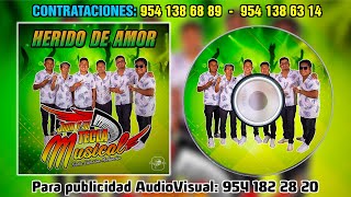 Herido De Amor - Jhon Y Su Tecla Musical de Santa Catarina Mechoacán ( Gigantes De La Costa )