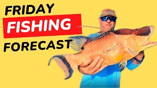 Friday Fishing Forecast for the Weekend of 1/27/23!