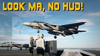 F-14 Tomcat - No HUD Case I Recovery