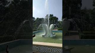 #ytshorts #viral #niceview #green vally park, lalpur, natore#water#fountain