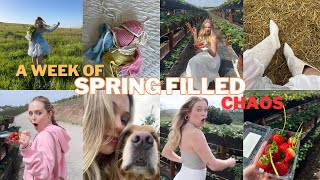 WEEKLY VLOG: SECRET Project Sneak Peek, Spring Activities & lots of chaos!!