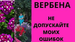 ВЕРБЕНА.НЕ ПОВТОРЯЙТЕ  МОИХ ОШИБОК