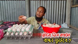 ফ্রীজে ডিম রাখলে বাচ্চা ফুটবে কিনা || বীজ ডিম সংরক্ষণ পদ্ধতি || Nur Bhai