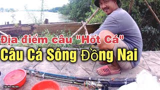 Câu cá sông Đồng Nai, một trong những địa điểm câu lý tưởng| Phần 2| Cậu Ấm Tây Sơn.