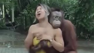 ORANGUTAN🦧—MONKEY LIKED A 🤦GIRL | 👍ANIMALS