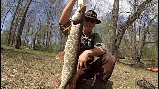 Pike Fishing! Watch Ken Beam catch his 1st Northern Pike of 2016. NJ Pike Fishing in a Kayak