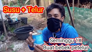 Jaga imun#kasih susu dan telur seminggu 1X