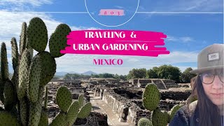 ENG| Exploring Cultural Gems in Mexico: Puebla and Cholula Adventure, and some urban gardening.