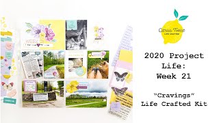 2020 Project Life: Week 21 for Citrus Twist Kits