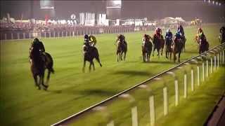 Just A Way - 2014 LONGINES World's Best Racehorse