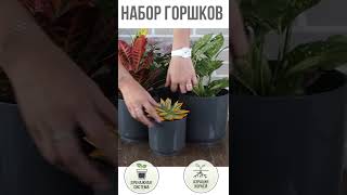 Пластиковые горшки для цветов, комплект из четырех горшков 1,5л, 3,2л, 4,4л и 6,4л Дельта Антрацит