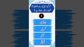 Islamic general knowledge quiz | Urdu Hindi Islamic questions answers| Islamic Common Sense question