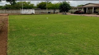 Mais um corte da grama do campo Society