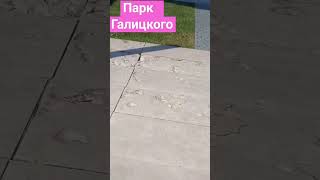 Парк Галицкого #Краснодар #лето #вода #паркгалицкого