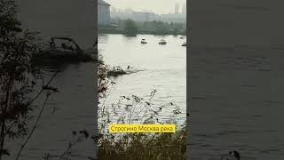 Москва река отдана водомоторникам