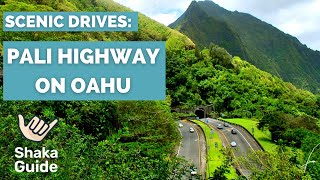 Scenic Drive through the Pali Highway on Oahu!