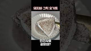 돼지바 그릭 요거트를 먹어야 하는 이유 #shorts