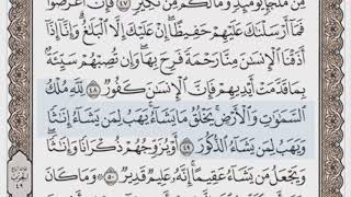 488 صفحة (سورة الزخرفالحصري جودة عالية مرتل المصحف المجود