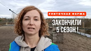 Закончили 5-тый улиточный сезон. Подготовка поля к зимовке. Ферма улиток Снэйлсэко. Брест. Беларусь.