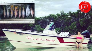 snappers fried on an island.Sun fun and fishing.first boat trip with wife and dog.Fun times outdoors