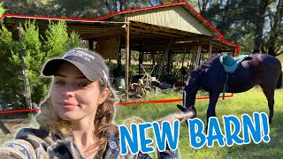 I BOUGHT A NEW HORSE PROPERTY! | Property Tour!