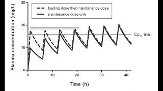 What are Loading Dose, Maintenance Dose, & Steady State?