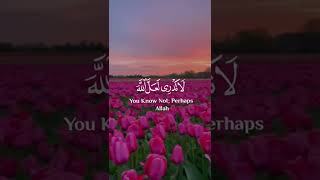 لا تدري لعل الله يحدث بعد ذلك أمرا )🌼💙 سورة : الطلاق 💗🌿      القارئ : رعد الكردي 🌸❤ | Surah Talaq