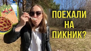 Как провести выходной с детьми? Едем на ПИКНИК, выезд на природу