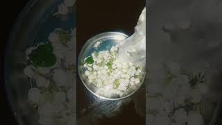 #Mallepula Mala#Mallepulu#Beautiful Jasmine Flowers#shorts#ytshorts#💞😍💞...