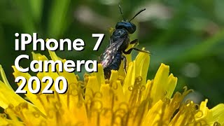 iPhone 7 Camera 2022 Full Review!