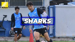 🦈 SHARKS Inside Training : NO TIME TO REST 🔥