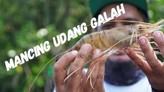 MANCING UDANG GALAH BERSAMA KAPTEN SAHREL..  SERU...