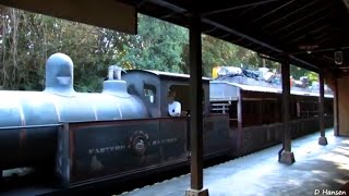 Disney World Attraction at Animal Kingndom Wildlife Express Train (8 Years Back in Time)