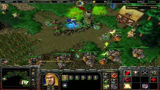 Amateur Plays || Warcraft 3 March of the Scourge