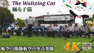 The Waltzing Cat 🐱 Japanese Air Force Band