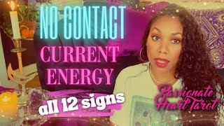 ✨💖 No Contact 🥺 Current Energy ✧ All 12 Signs - Time Stamped 💖✨