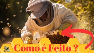 [MEL! Como è Feito??] Segredos da Colmeia: Descubra Como o Mel é Feito?