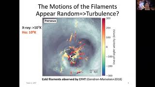 Direct Detection of Black Hole-Driven Turbulence in the Centers of Galaxy Clusters - Yuan Li