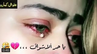 يا طير الك بيه غصن حالات واتساب عربي اجمل حالات واتساب عربي اغاني عربي حزين