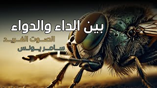 وثائقي معجزة الذباب بين الداء والدواء * أداء سامر يونس &وفاء محمد