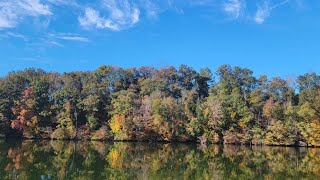 Beautiful fall autumn leaves 2023 🍂 🍁 in Northeast Tennessee Warriors Path State Park Kingsport Tn