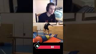 xQc says he can be gay #xQc #react