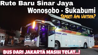 Rute Baru Sinar Jaya, Wonosobo - Sukabumi Tapi Unitnya⁉️ Bus Dari Jakarta Masih Telat