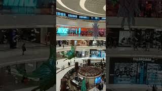 #exploredubai#mallvisit#dubaimetro#dubaimall#video#shorts