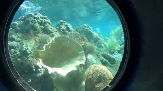 Finding Nemo Submarine Voyage POV at Disneyland