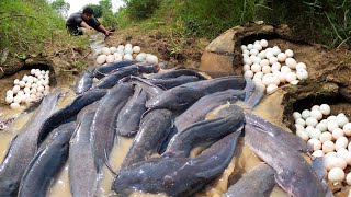 Top fishing video 2025!  an fisherman catch a lot of fish,  Best hand fishing