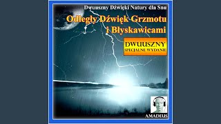 Dźwięki Natury dla Snu: Ognisko w Lesie na Północy (Bonus Track)